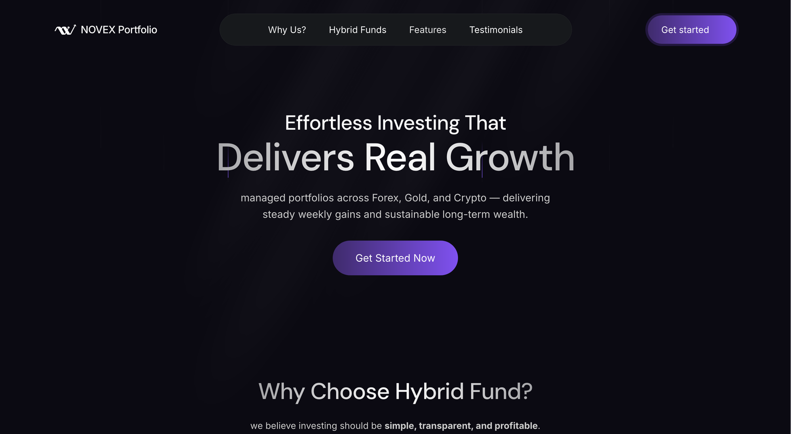 Novex Portfolio website preview